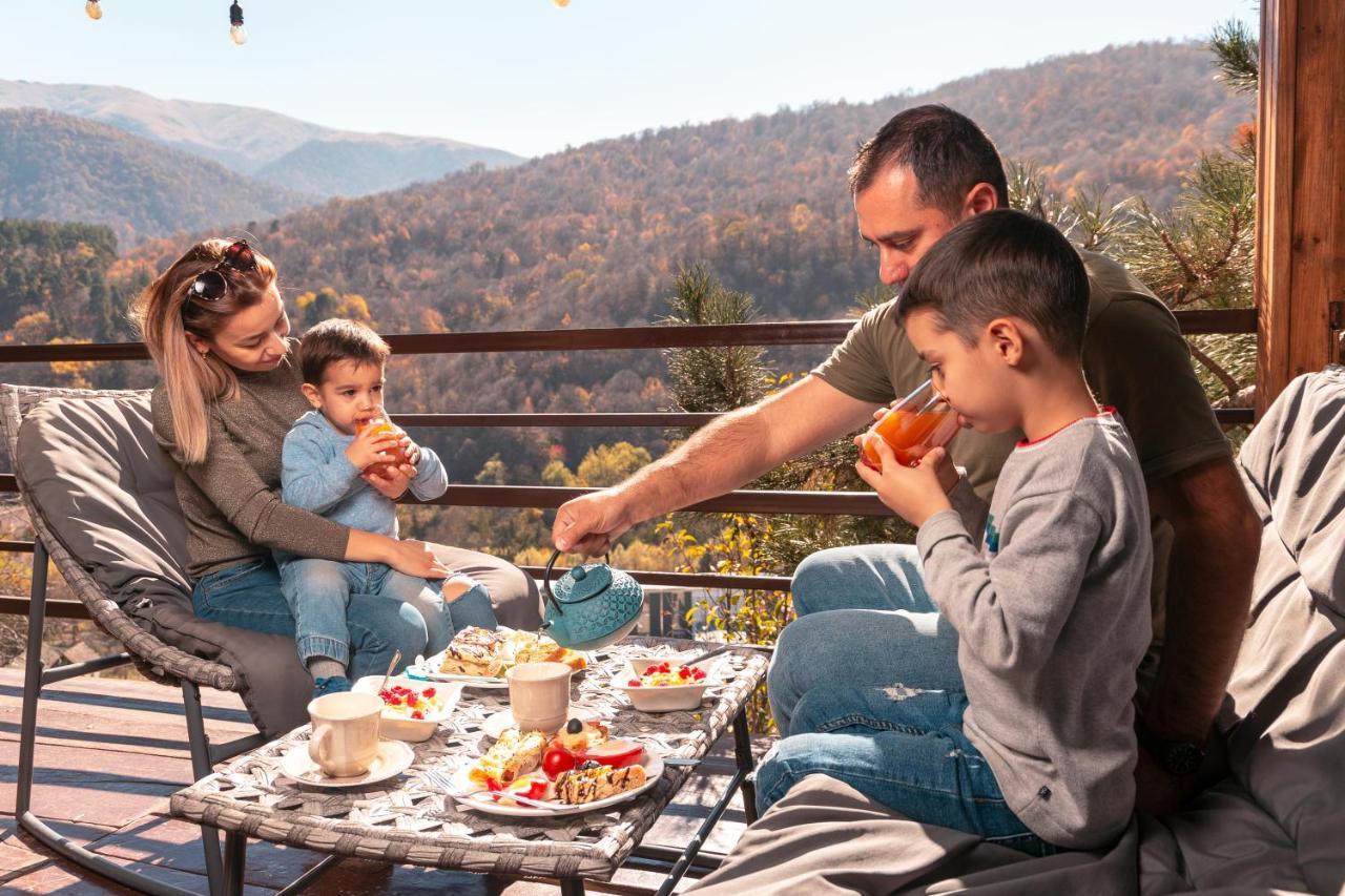 Popock Dilijan 1 Hotel Eksteriør billede